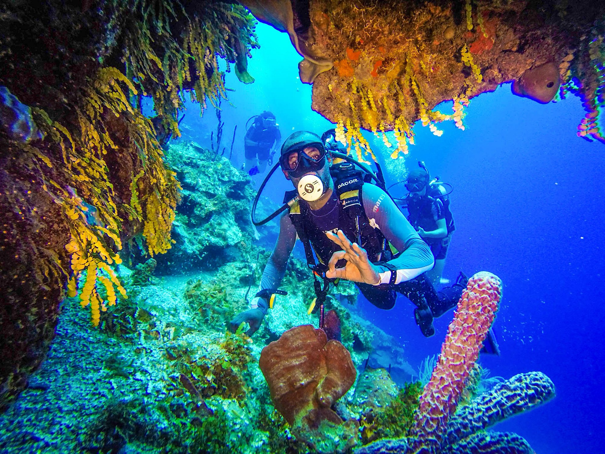 Diver exploring the reef at Catalina