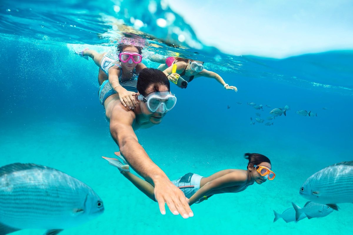 Tropical fish on the coral reef