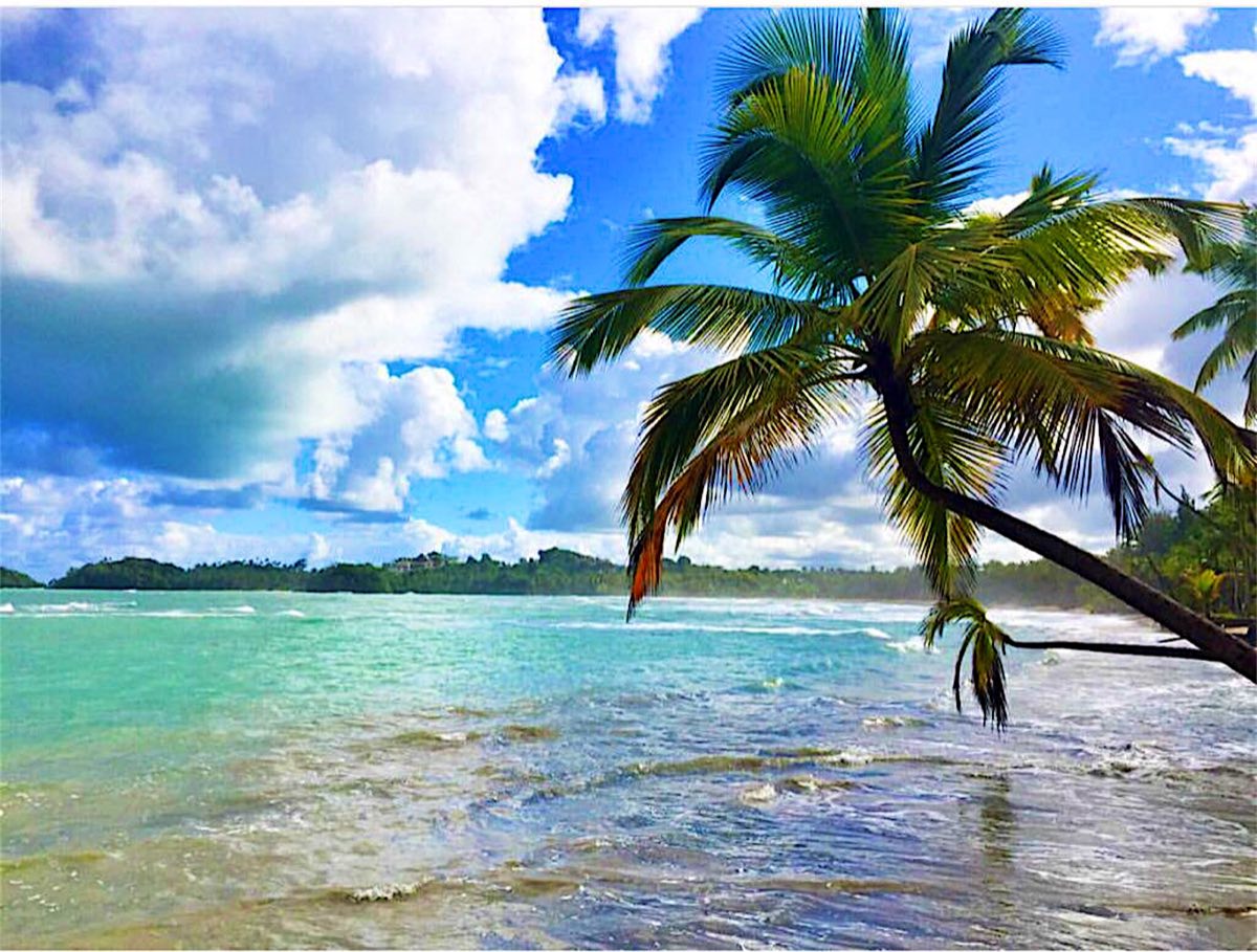 Beach in Samaná