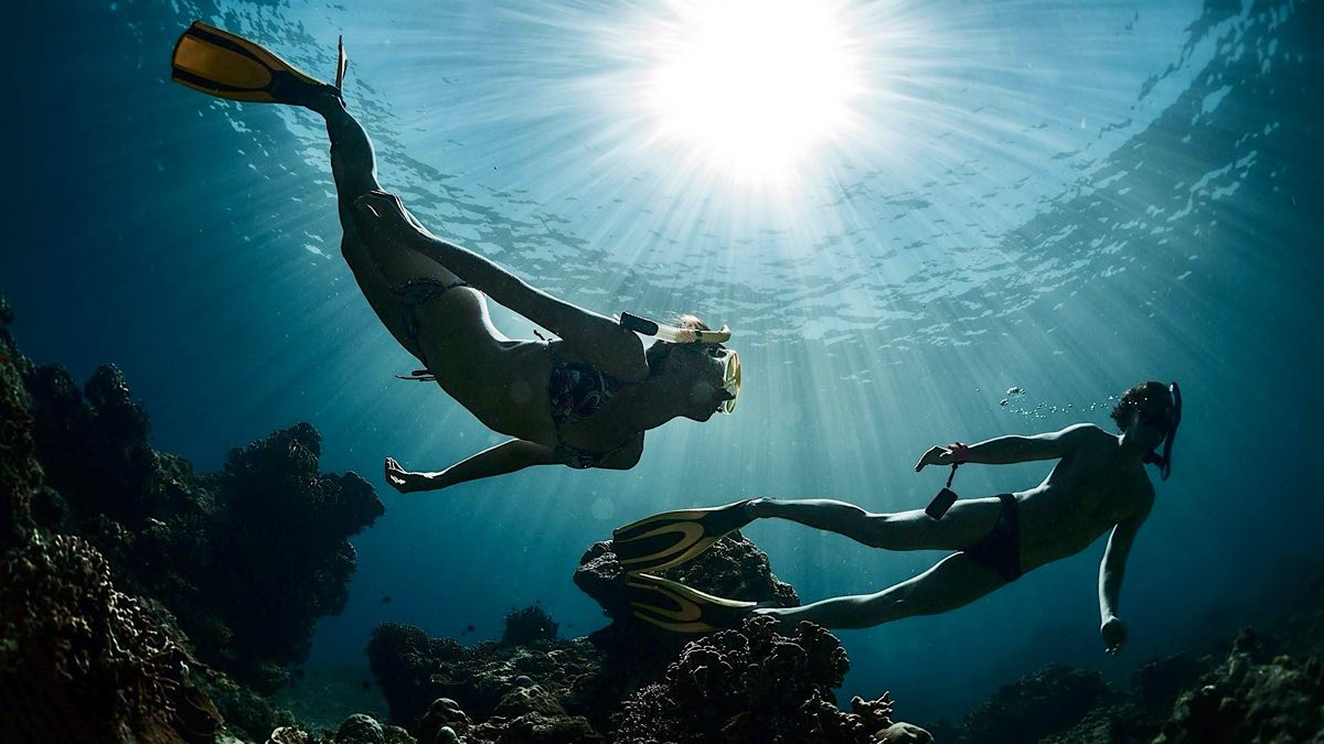 Divers under sunlight