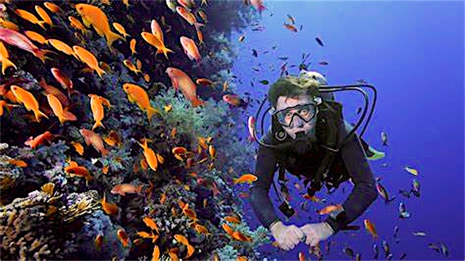 Diver adjusting mask