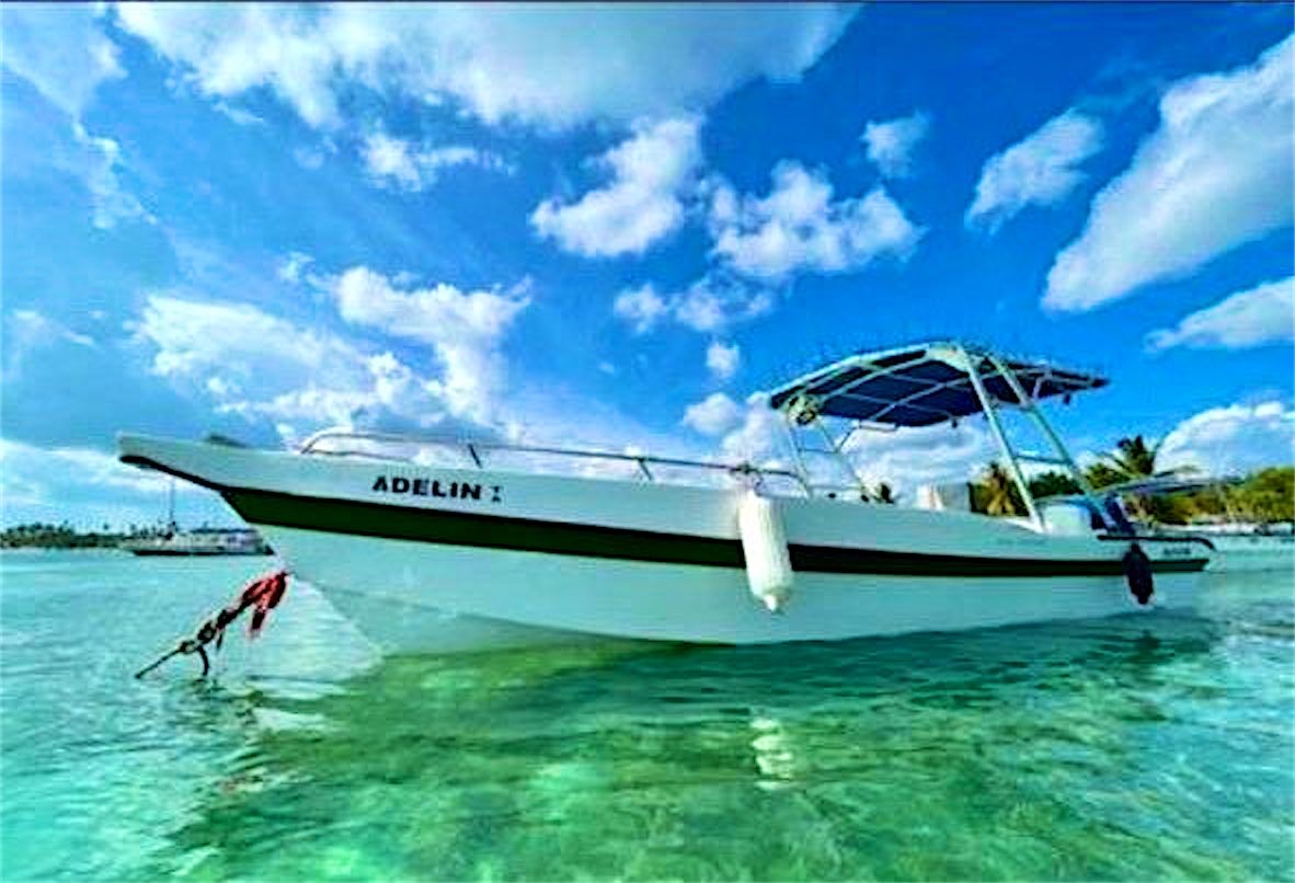 Boat sailing to Saona