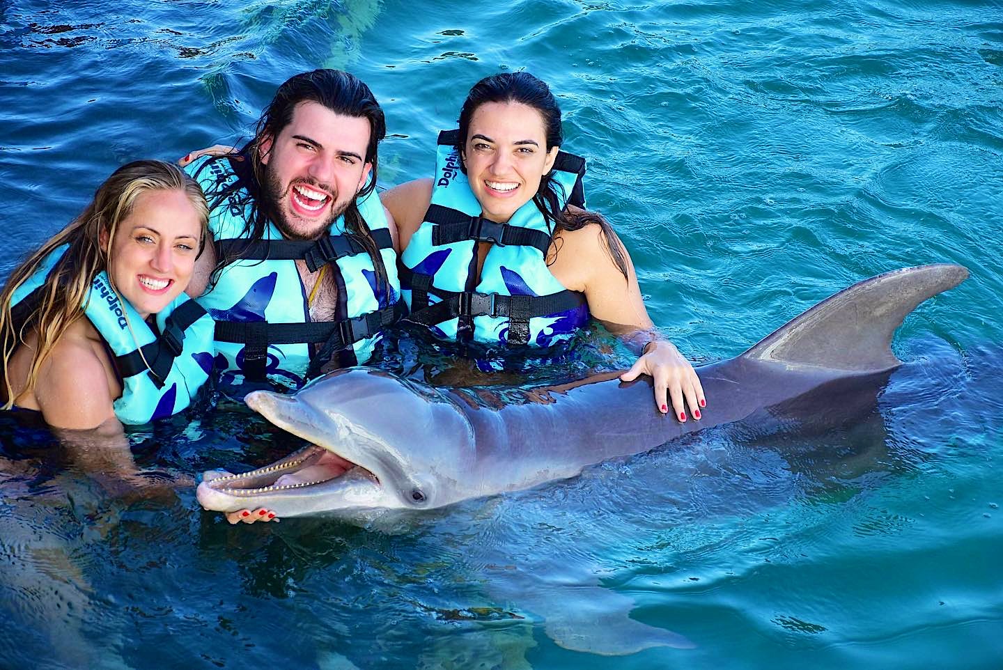 Dolphin swimming next to a guest