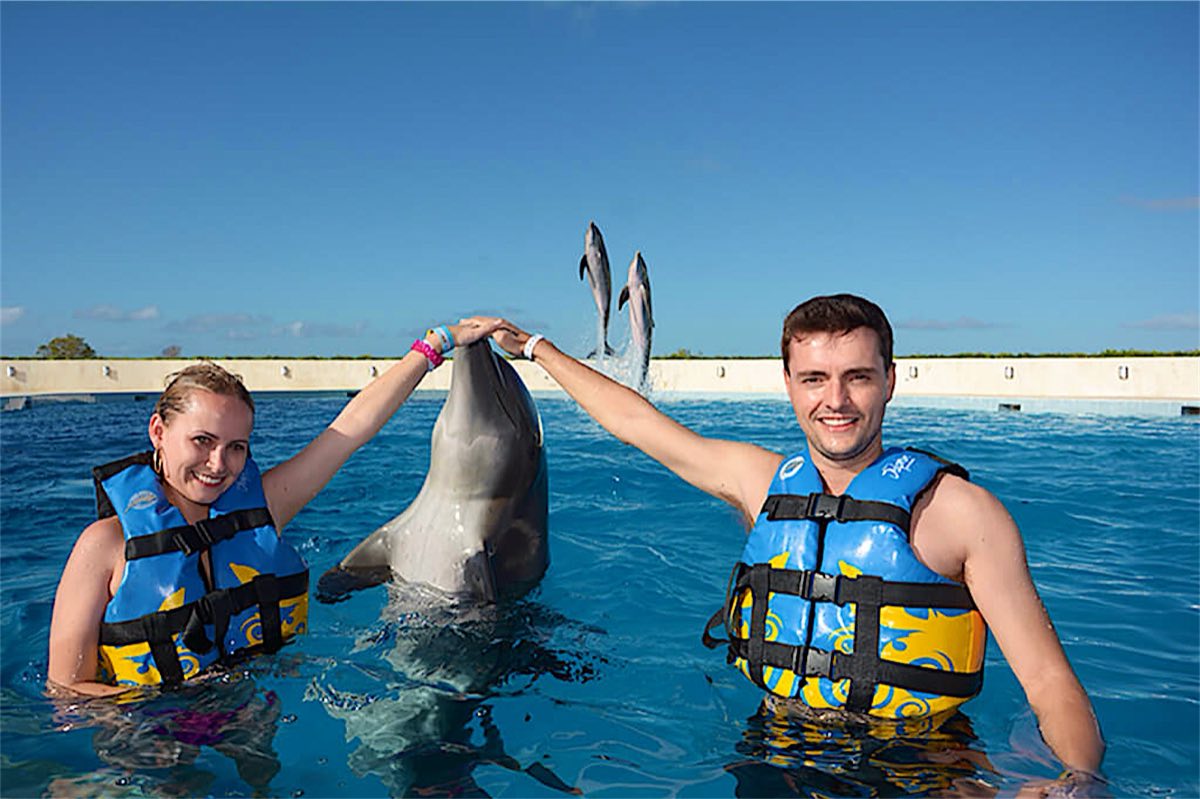 Dolphin close-up