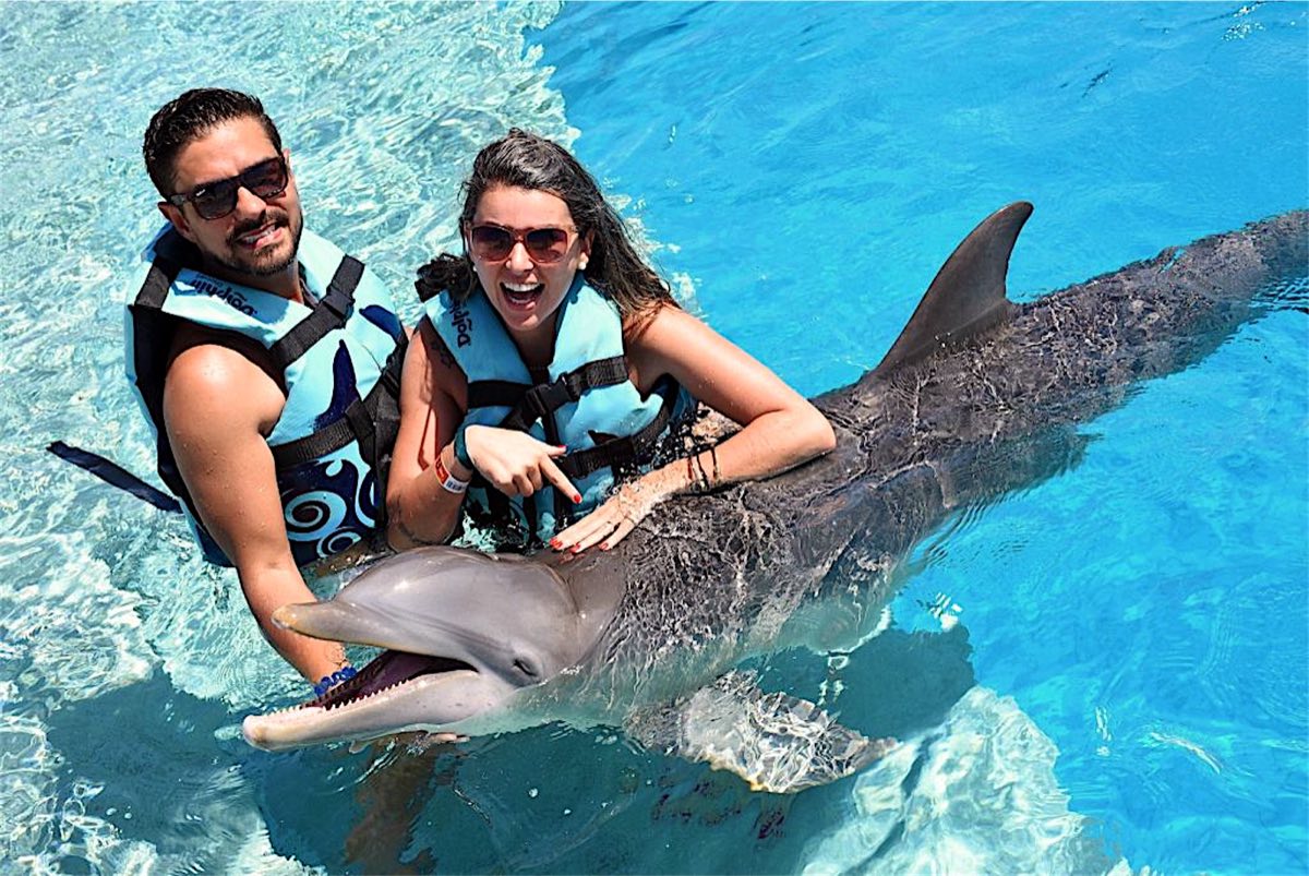 Guests with dolphins